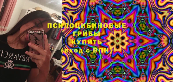 дмт Арсеньев