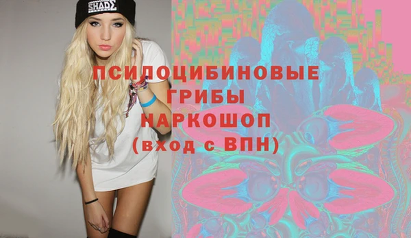 дмт Арсеньев