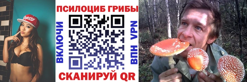 Псилоцибиновые грибы мицелий  Сысерть 